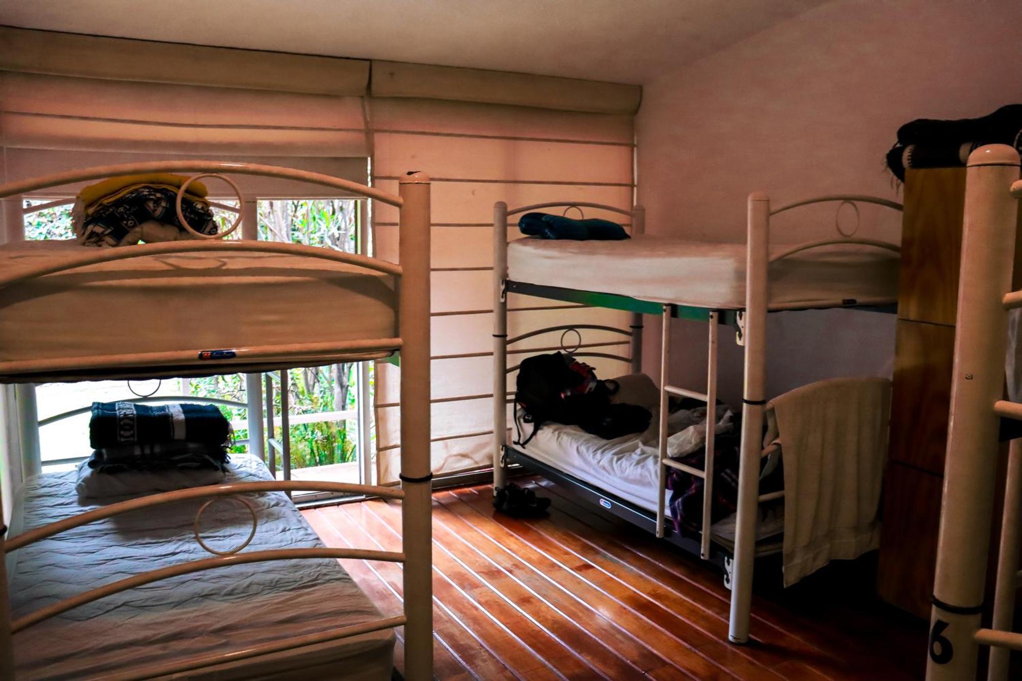 Casa de hóspedes Cuija Coyoacan Berlin 268 Coyoacan