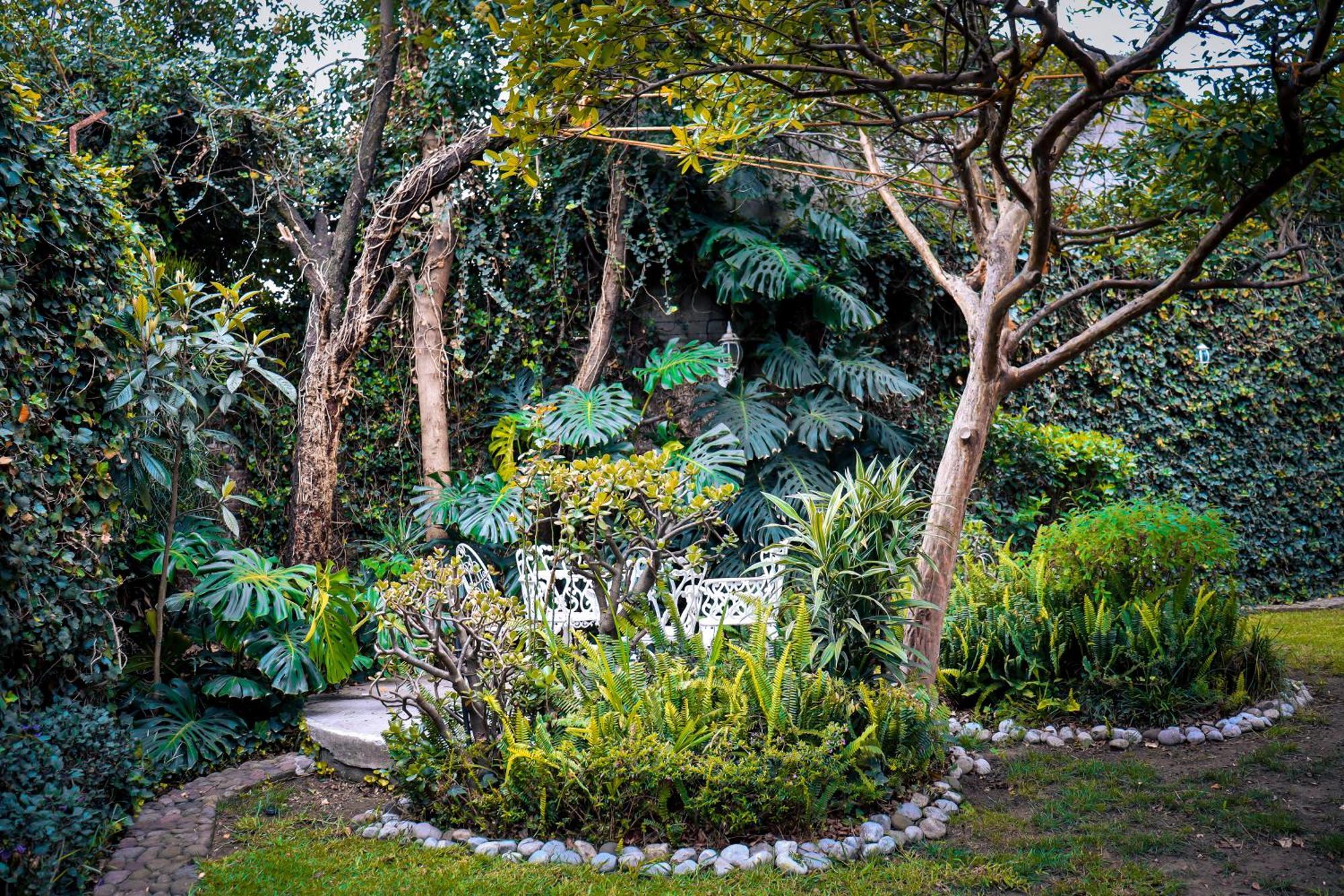 Casa de hóspedes Cuija Coyoacan Berlin 268 Coyoacan 2*